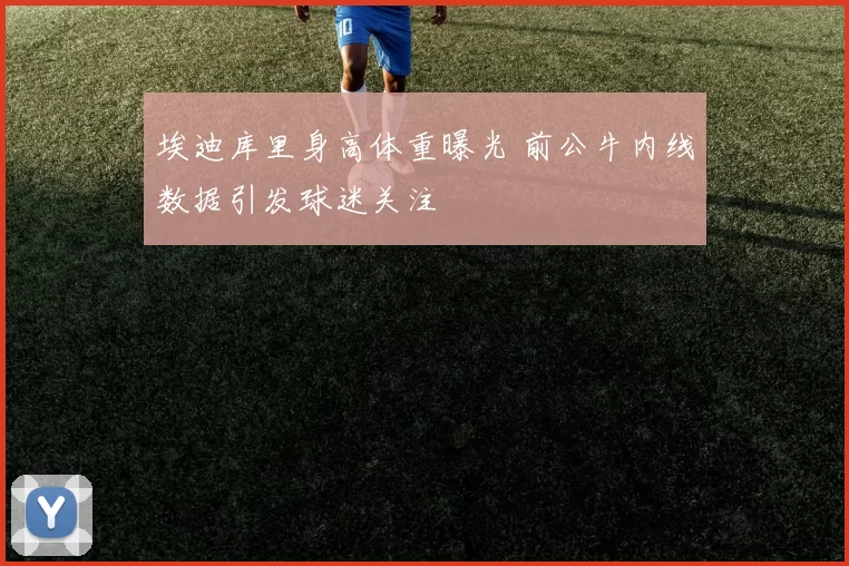 埃迪库里身高体重曝光 前公牛内线数据引发球迷关注