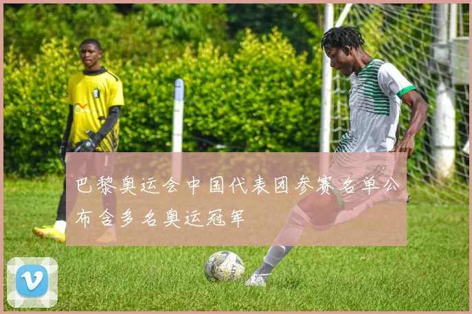 巴黎奥运会中国代表团参赛名单公布含多名奥运冠军
